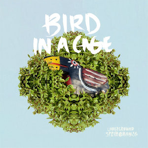 Underground Springhouse — Bird in a Cage