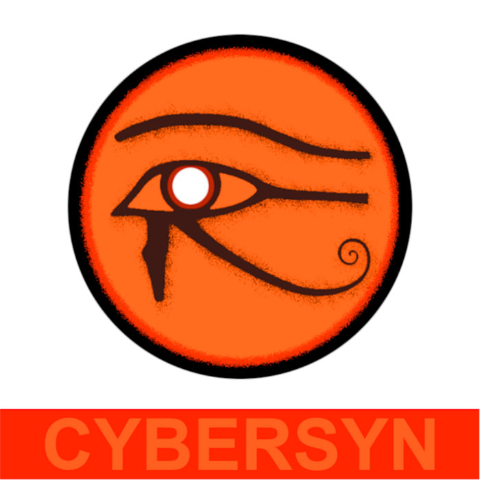 CYBERSYN | Bitter, Inc.