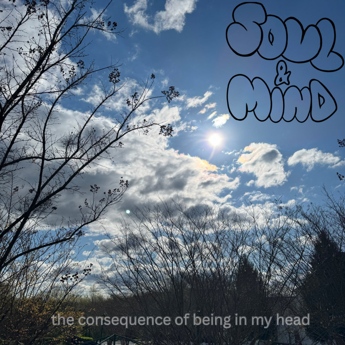 the consequence of being in my head | Soul And Mind