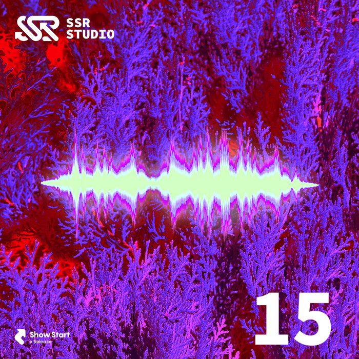 SSR Beats Vol.15 | SSR Studio | Showstart-release