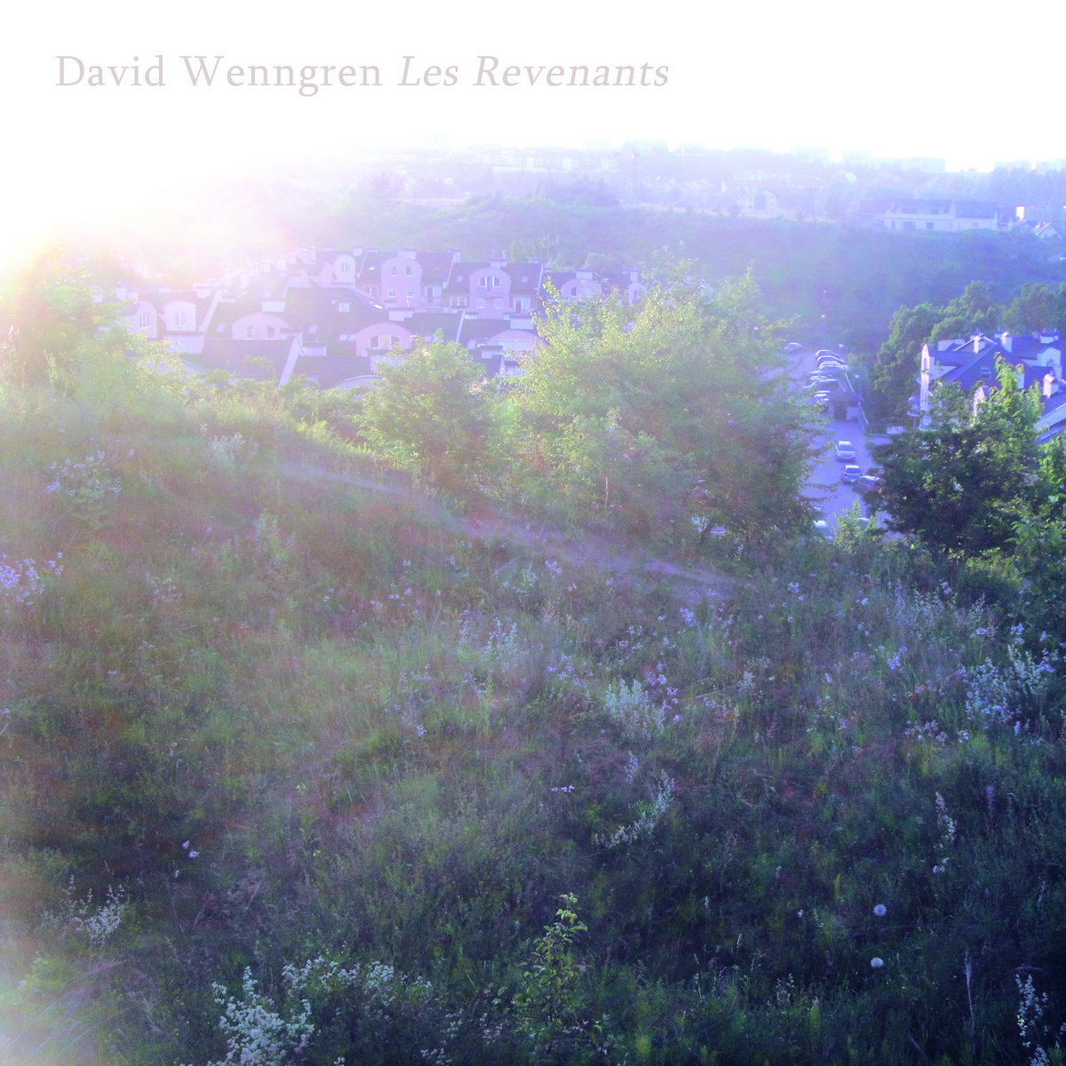 Les Revenants Library Tapes - 