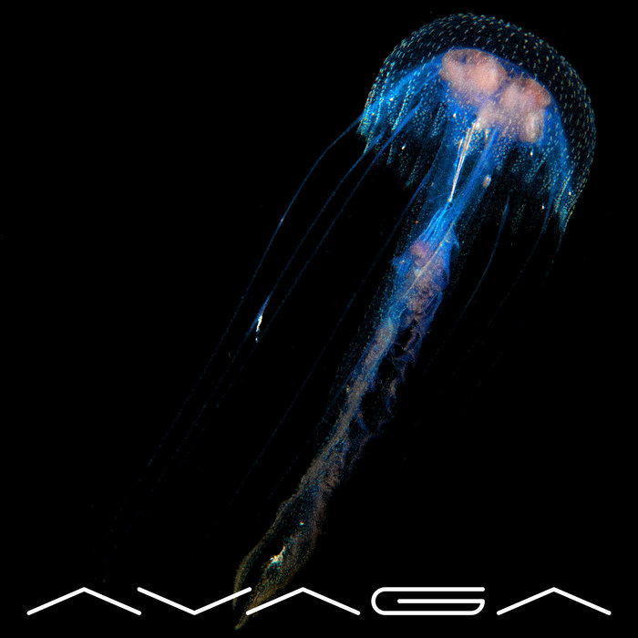 AVAGA | AVAGA