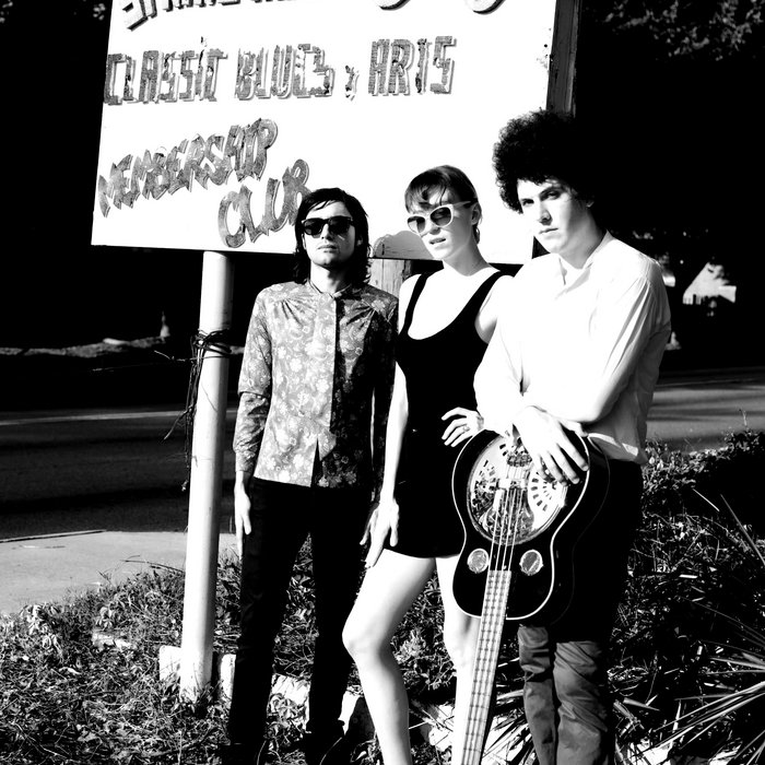 Into The Wild | Puddin Tang | Owlphabet Records