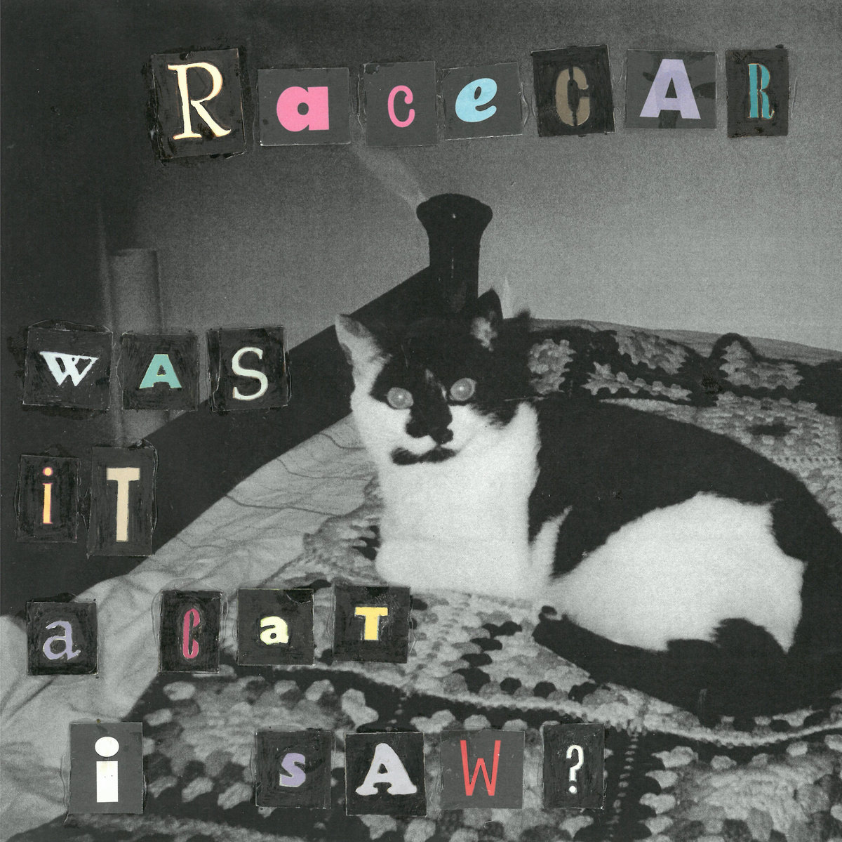 Was it a cat i saw racecar