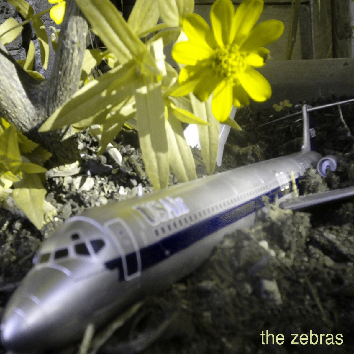 The Zebras | The Zebras