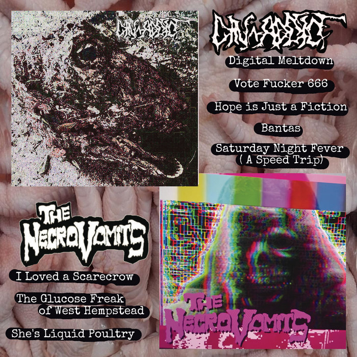 Pochette de DIN-ADDICT/THE NECROVOMITS split EP par SubKultDethWish