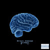 Brain Damage