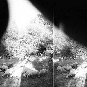 Godspeed You! Black Emperor — Asunder, Sweet and Other Distress