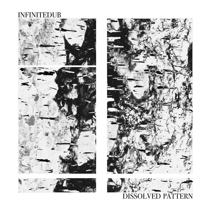 Dissolved Pattern | Infinitedub | insectorama