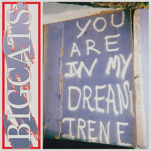 You Are in My Dream Irene cover
