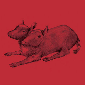 Quasi — Early Recordings