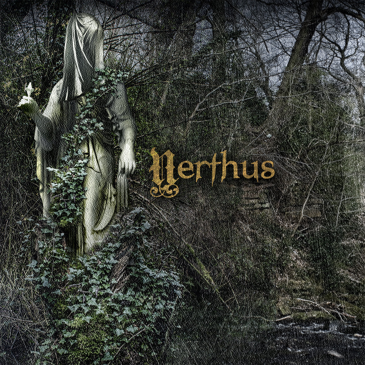 Nerthus Northern Oak