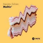 Renato Cohen - Meltin' [PETS145]