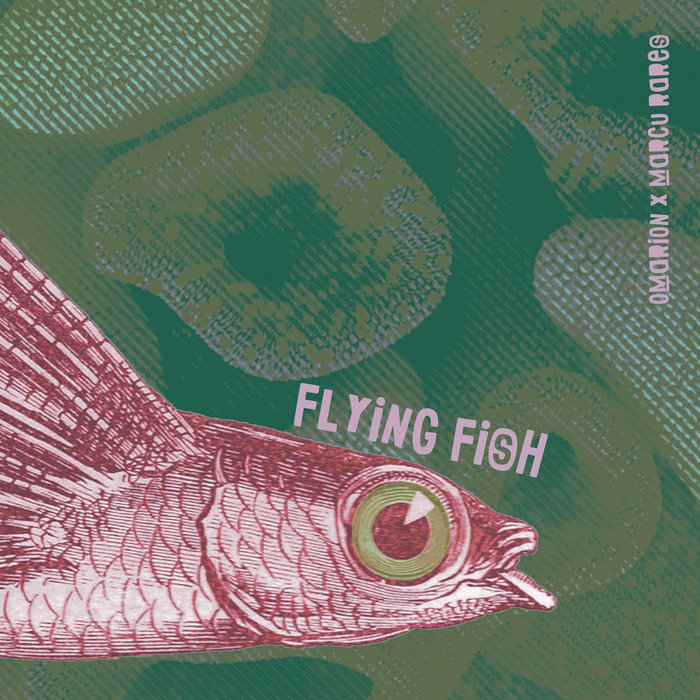 Marcu Rares flying fish | marcu rares, omarion | Marcu Rares
