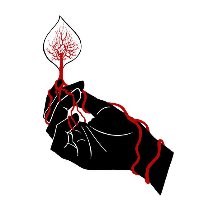 Ash & Cinder Fire in the Field