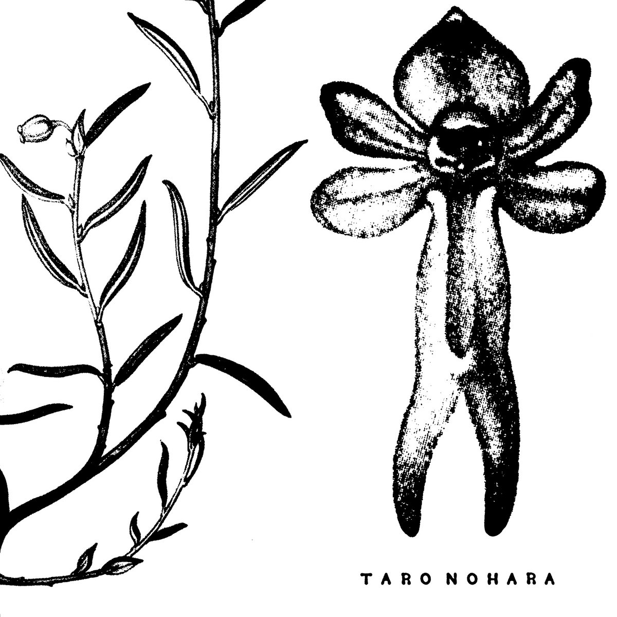 Poly-Time Soundscapes / Forest Of The Shrine | Taro Nohara