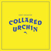 collared urchin Cover Art