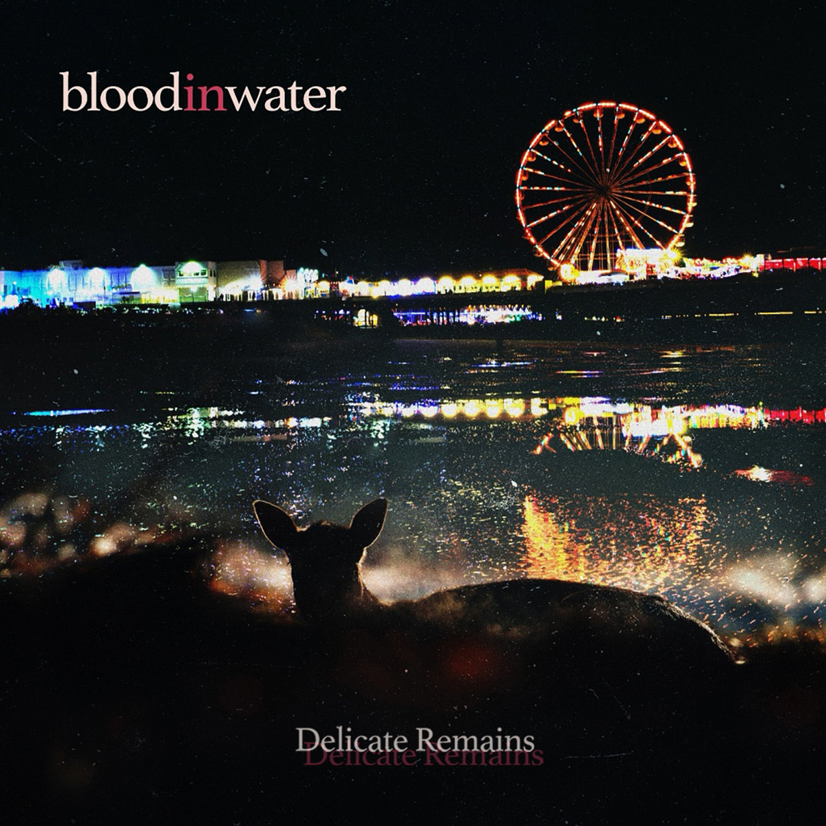 Delicate Remains cover