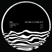Ekoboy — TPO117 Ekoboy - Never Gonna Let You Coming For Ya