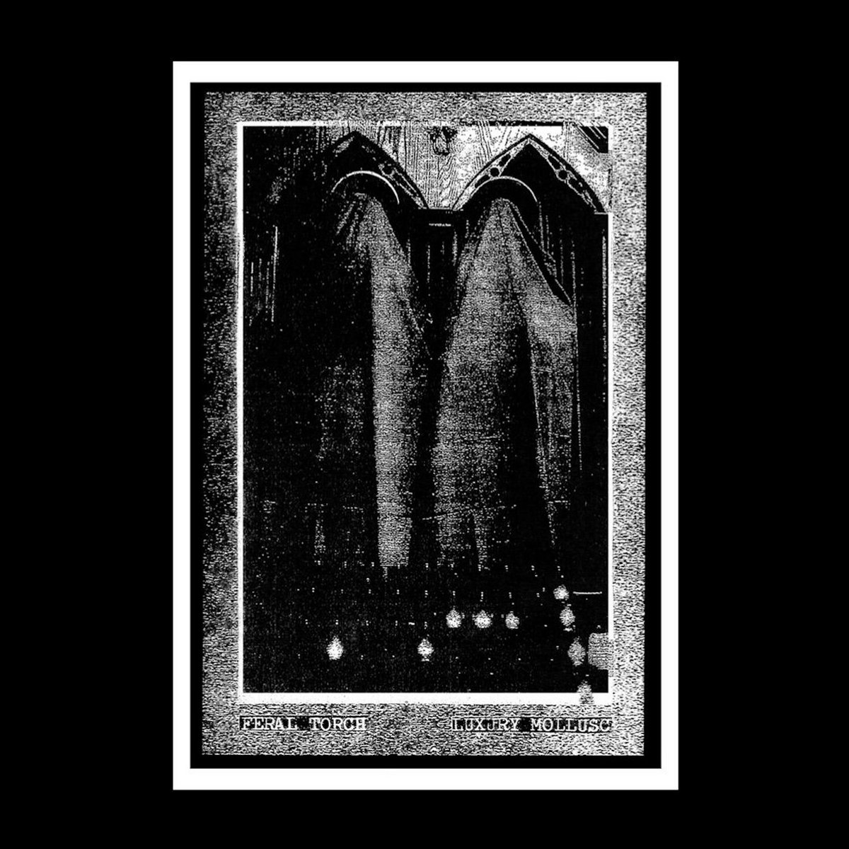 Split with FERAL TORCH cover