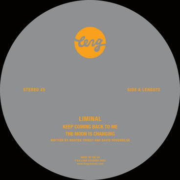 7” Electric Connection Groovy / Cry Of The Lone Wolf 7S30 CASABLANCA /00080 The Electric Connection – Groovy – Vinyl (7