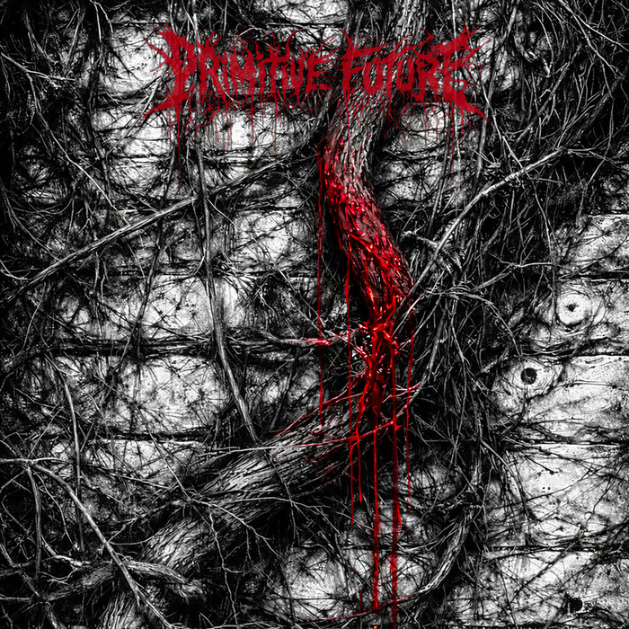 Primitive Future, by Primitive Future