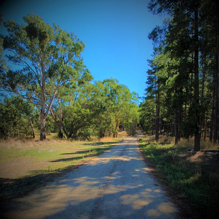 Mt Crawford Tay Hikes