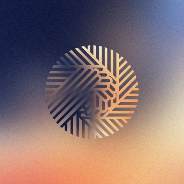 【希少盤】Various Artist Chalo LP DILLA Jaubi Chalo – Vinyl (LP, Compilation, Limited Edition), 2020