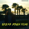 Bread Dough Rising Cover Art