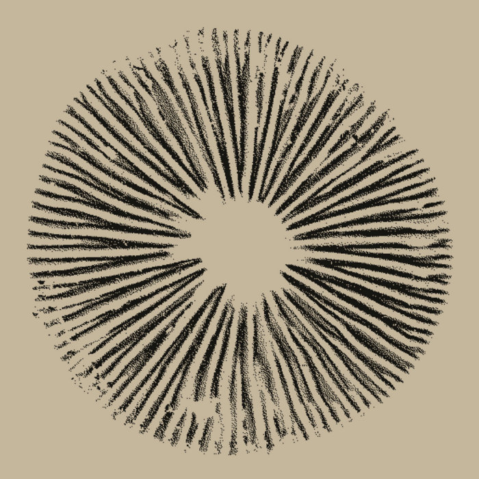 Window Expanded & Remastered | Monos | ICR Distribution