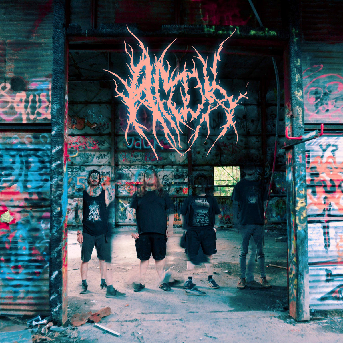 Tokyogazer】AMOK DRAUMR5.0 アモック ドラムラー Tokyogazer】AMOK