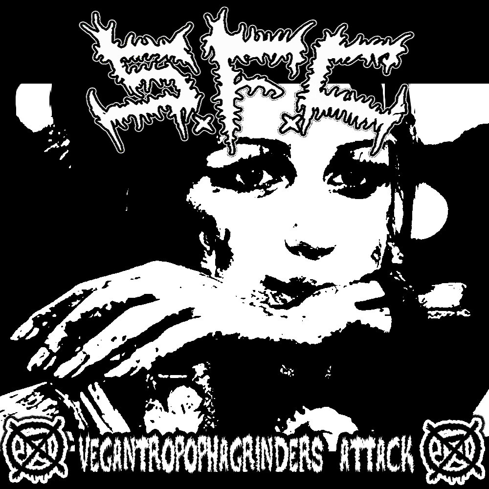 AxCx/INSULT - Split【CD】グラインドコア grindcore