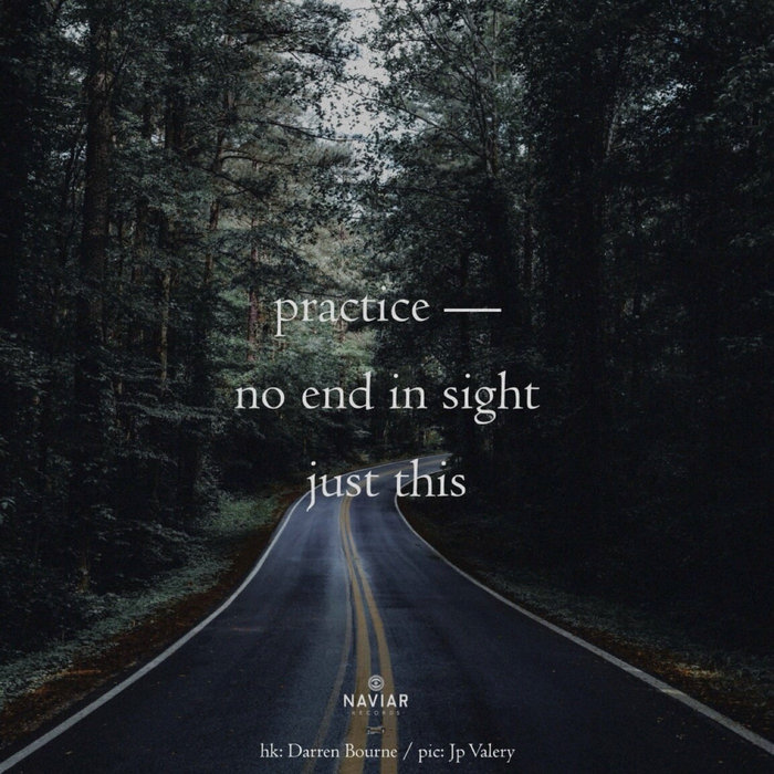 halF blinD NAVIARHAIKU645, by John Wright
