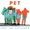 What You Building? Cover Art