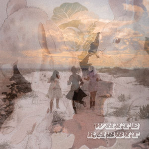 Plum Vision — White Rabbit