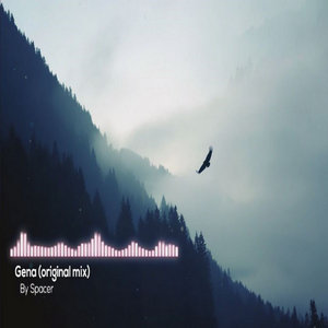 Spacer - Gena (original mix) cover