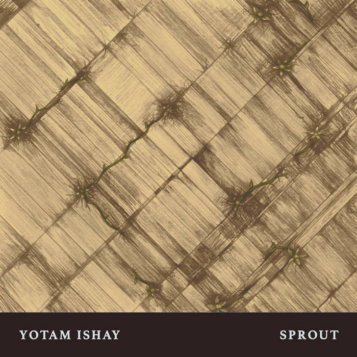 Reminiscing (feat. Roni Eytan)
aus SPROUT von Yotam Ishay
