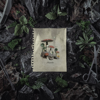 Track artwork for Amanita