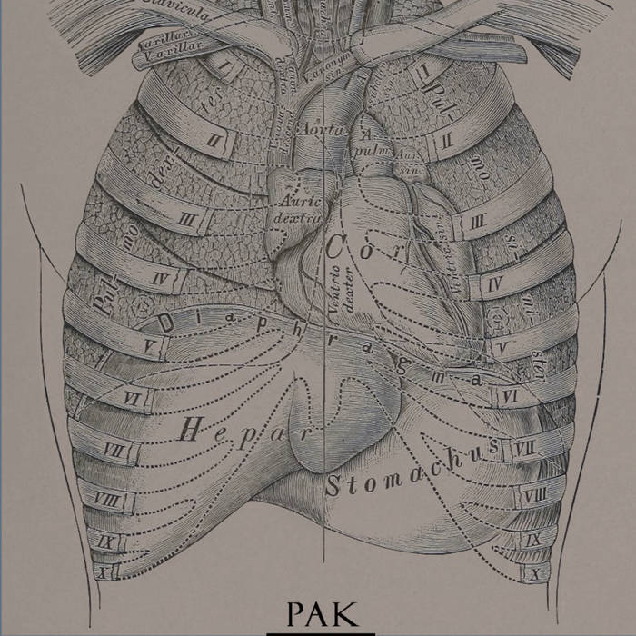 NYJPN | PAK | others