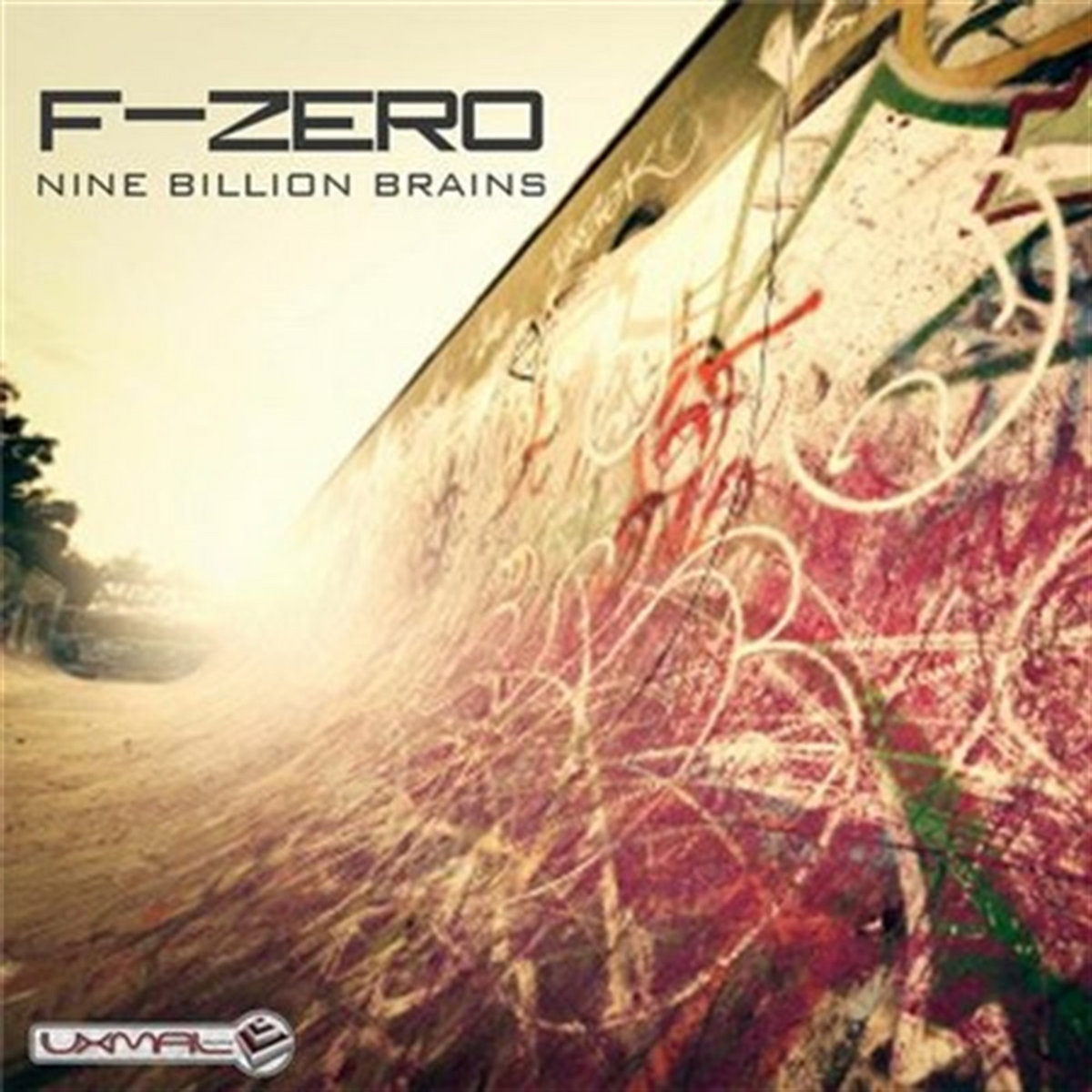 Nine Billion Brains | F-Zero