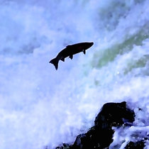 The Stationary Trout Ep cover art