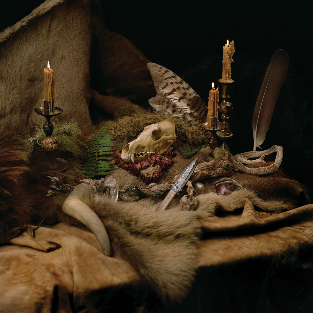 Through Eternal Fields | WOLVES IN THE THRONE ROOM Through Eternal Fields | WOLVES IN THE THRONE ROOM