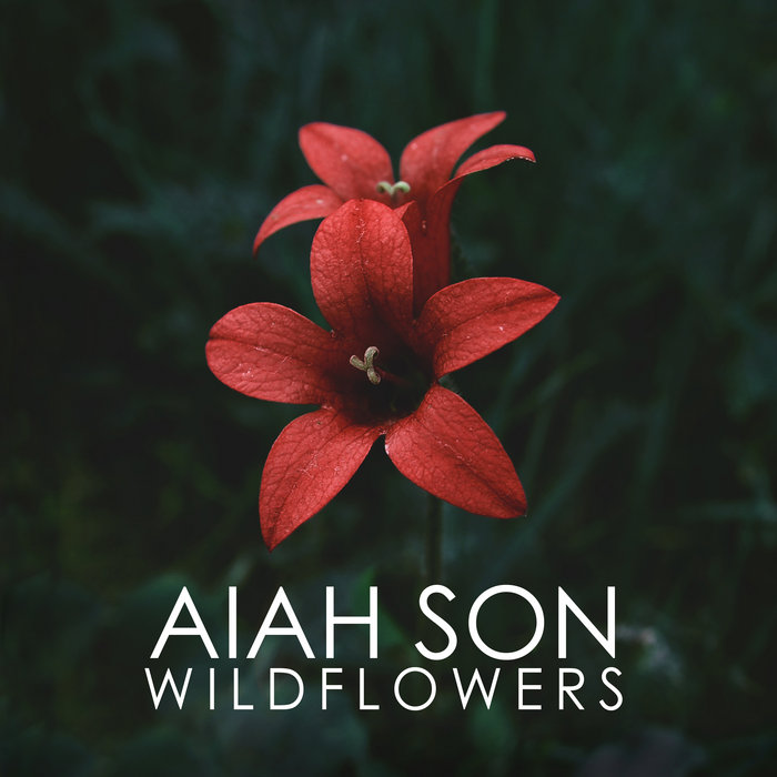 WILDFLOWERS (album) aiah son