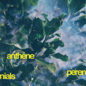 anthéne — perennials