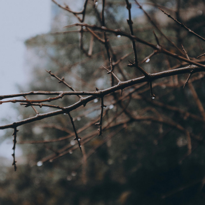 Madeline Hooper Grover Brancha