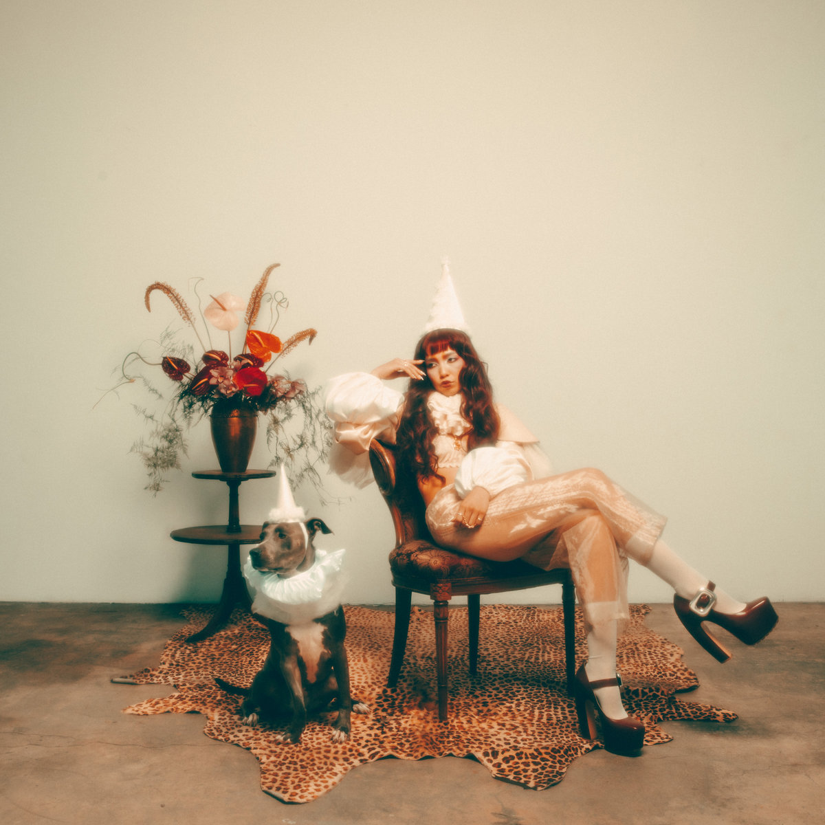 The Jester | Wallice