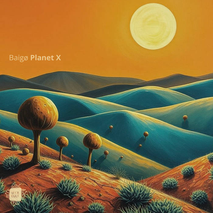 Planet X LP | Baigø | MixCult Records