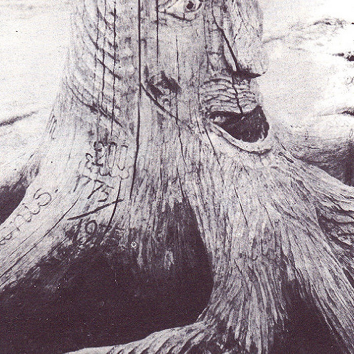 The Magic Roots magic roots | Root Word