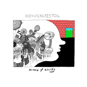 Slow Fire Pistol — Moment of Clarity