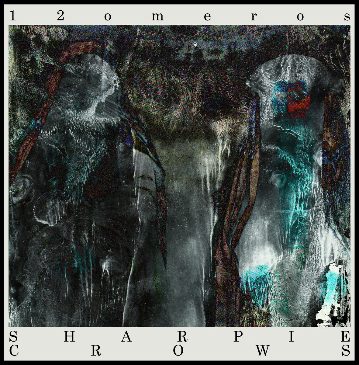 12 Omeros Sharpie Crows